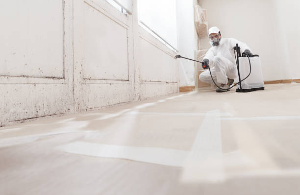 24/7 Emergency Attic Mold Remediation experts in El Mirage, AZ